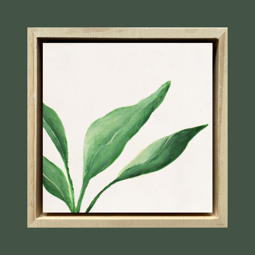 Soft Botanics II